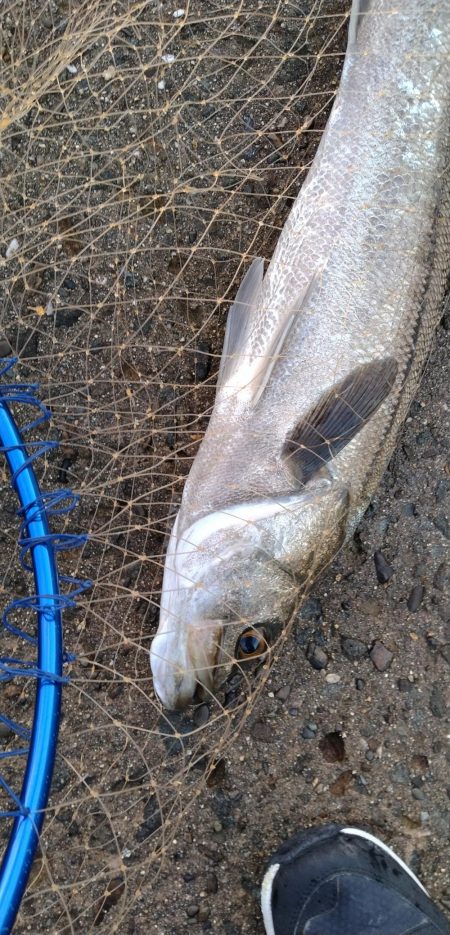 北西風で荒れ荒れ