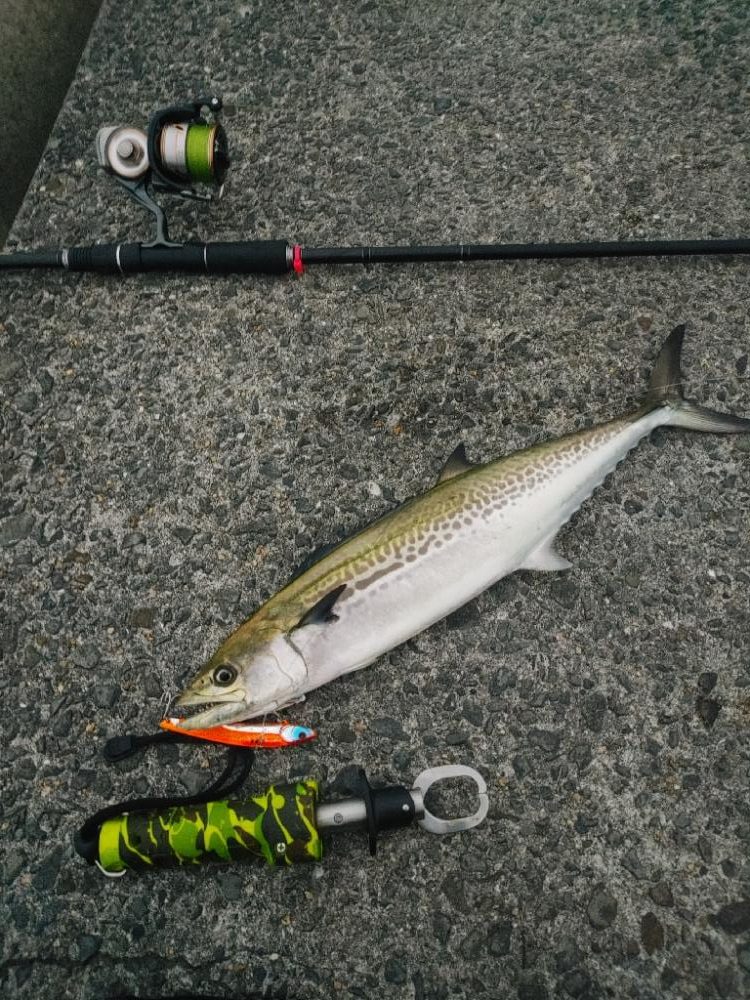 ルアーのおかげ？