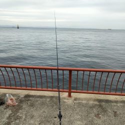 ほんとにさっぱりん