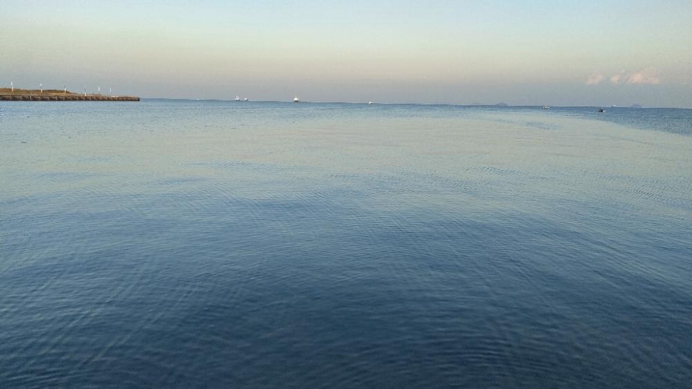 ショアジギング