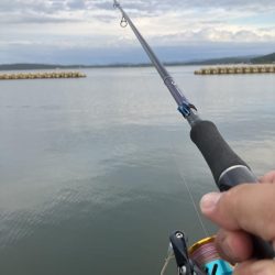 朝から釣り三昧