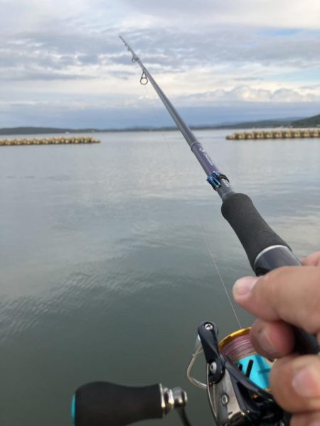 朝から釣り三昧