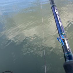 リモートバトルのシーバス狙い