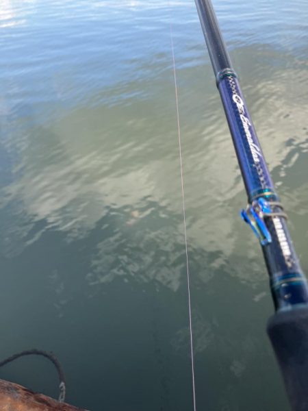 リモートバトルのシーバス狙い