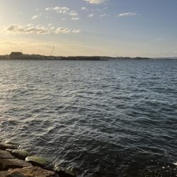 夕まづめ、シーバス狙い