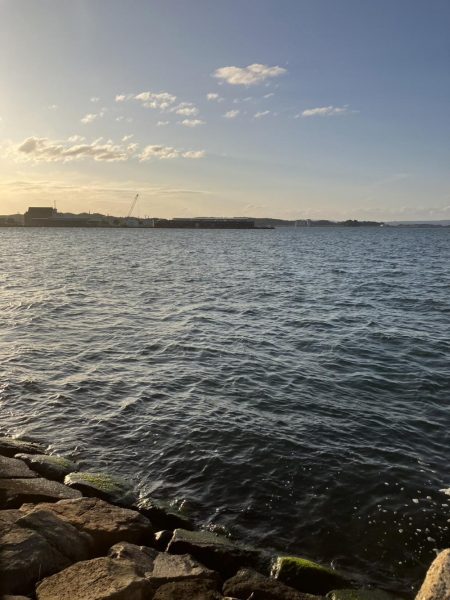 夕まづめ、シーバス狙い