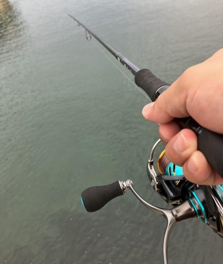 巨大マゴチを求めて