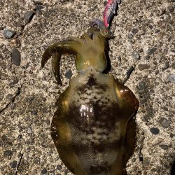 朝からバタバタ