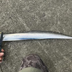 タチウオ ルアー縛り