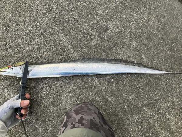 タチウオ　ルアー縛り