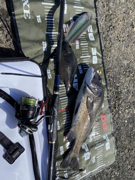 リベンジと入魂