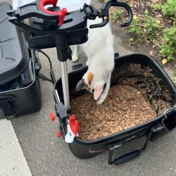 春以来のフカセ釣り