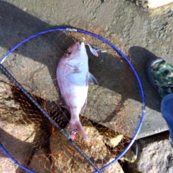 初の釣果に嬉しさ爆発しました。