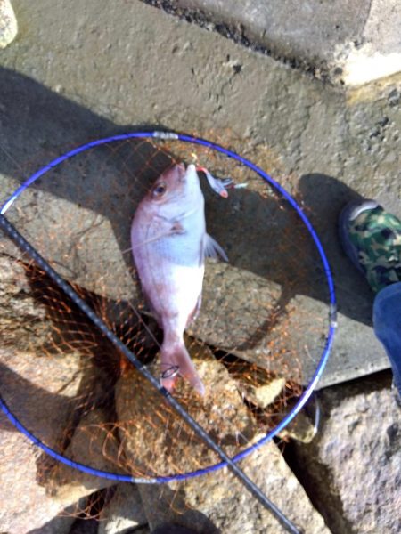 初の釣果に嬉しさ爆発しました。