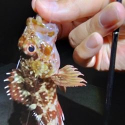 楽しいけど小せえわ