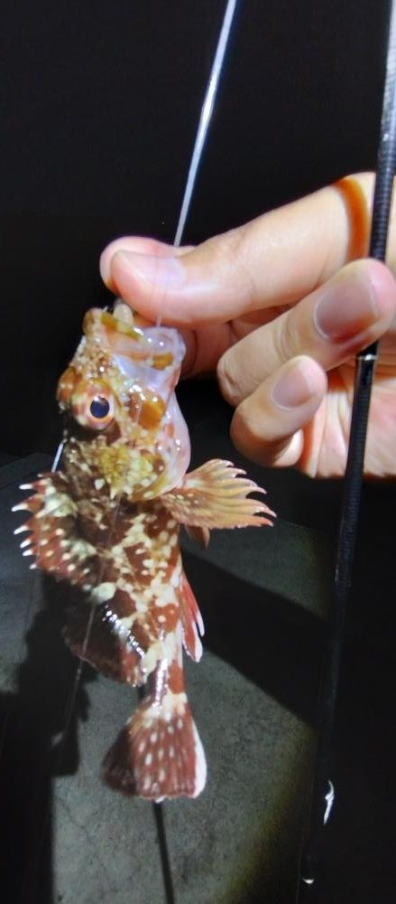 楽しいけど小せえわ