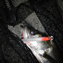 散らしてスイッチON?