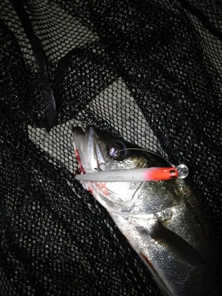 散らしてスイッチON?