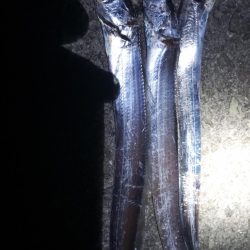 爆風の中で。。