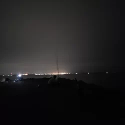 青物は留守でした！