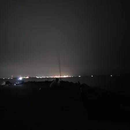 青物は留守でした！