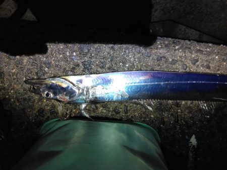 雨でも満員人工島