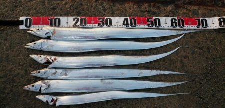 渋い、、、一方釣れたら良型。