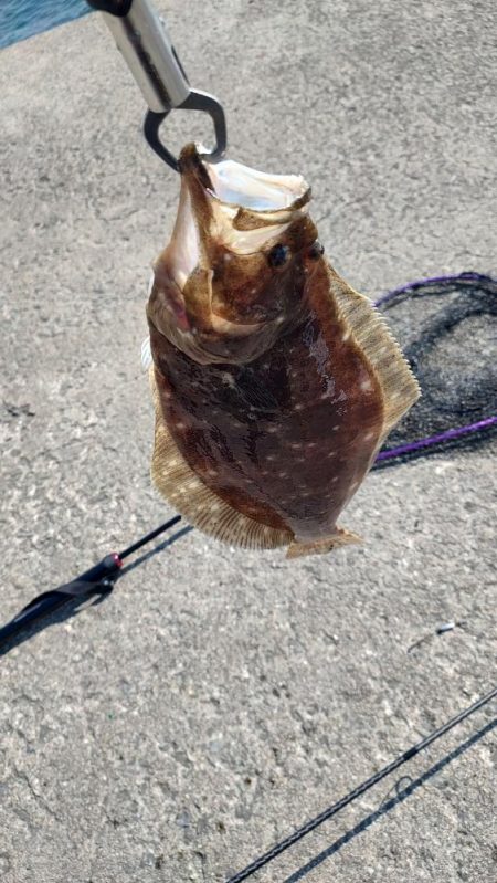 タモ入れありがとうございました