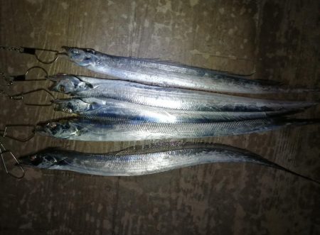 最近は短め😭早くメーター超…