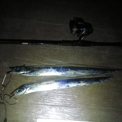 今日は全体的に渋め