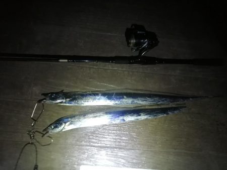 今日は全体的に渋め