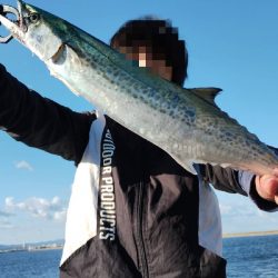 サゴシとシログチ