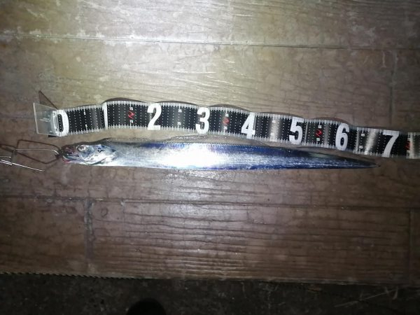 今週は先週よりも渋かった