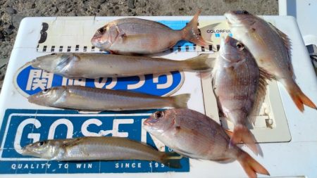 型が良くなり始めた播磨新島のキス