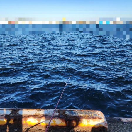 ファミリーフィッシング🎣