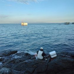 デカイマダイ・・・・