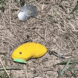 リベンジならず