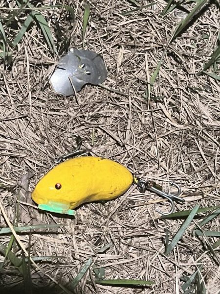 リベンジならず