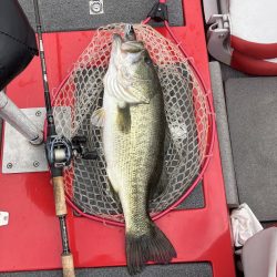 ディープホールでロクマル他