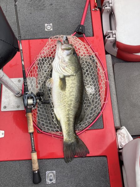 ディープホールでロクマル他