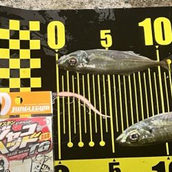 爆風でしたが…