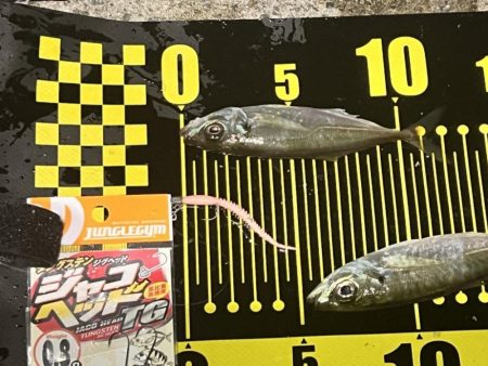 爆風でしたが…