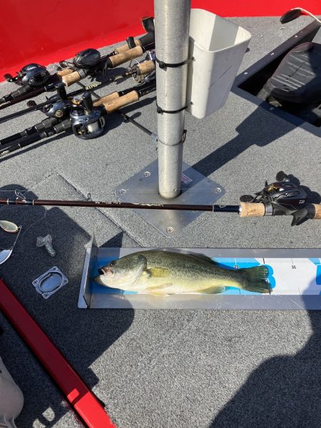 ターンオーバー