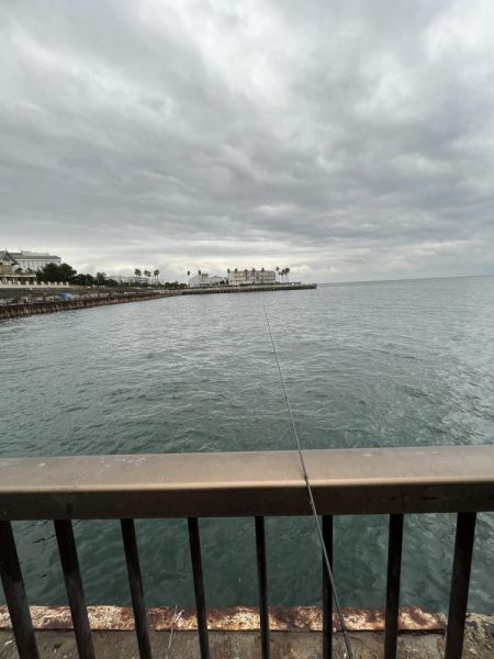 ウリボウフィーバー