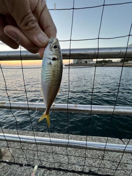 ウリボウだらけ