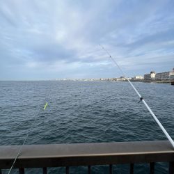 サビキ終わりかけ