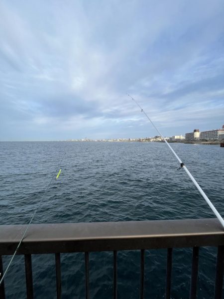 サビキ終わりかけ