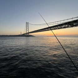 激渋〜カマボコの素〜