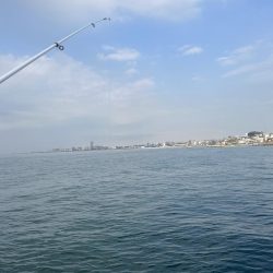 サビキが渋い時期