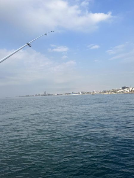 サビキが渋い時期